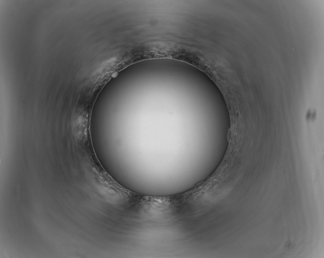 X0000091070768200708061302