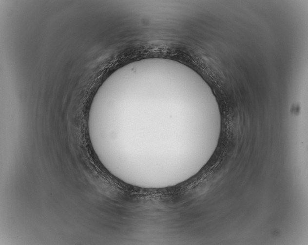 X0000091070769200708061301