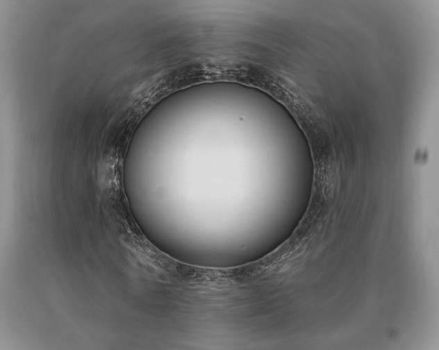 X0000091070770200708061301