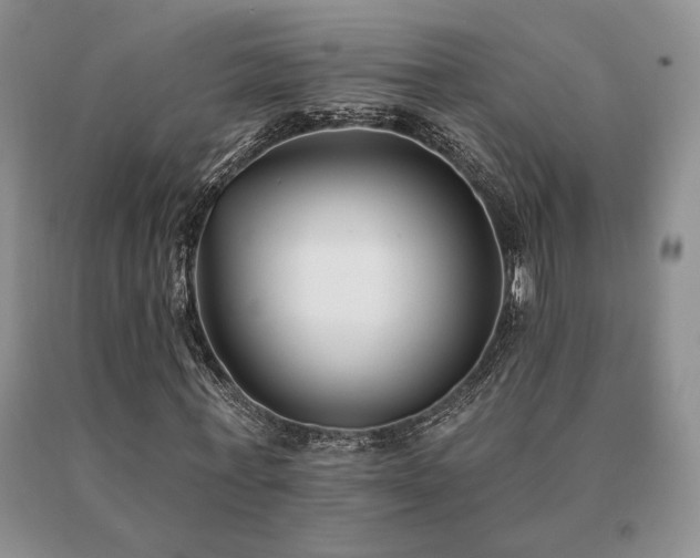 X0000091070771200708061301