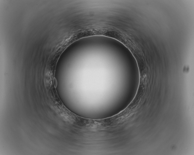 X0000091070772200708061301