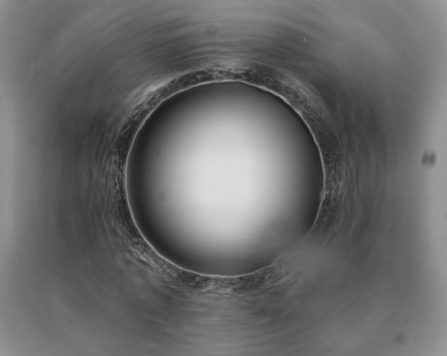 X0000091070773200708061301