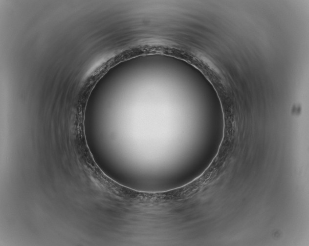 X0000091070775200708061301