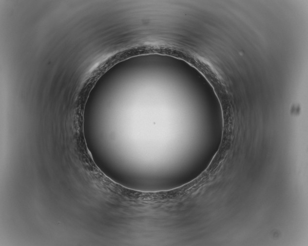X0000091070776200708061301