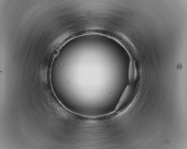 X0000091070777200708061301