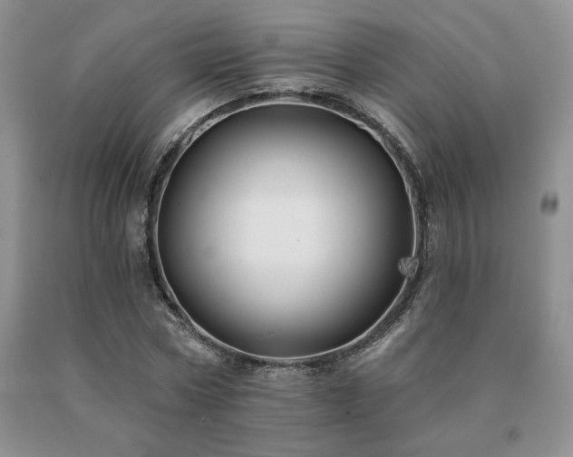 X0000091070778200708061301