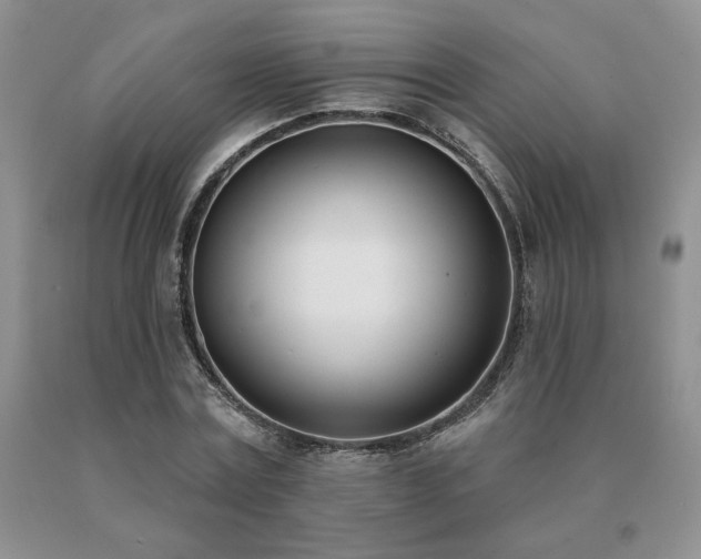 X0000091070779200708061301