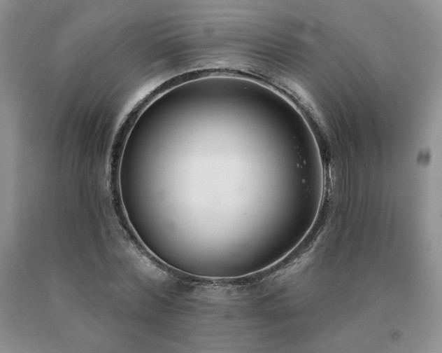 X0000091070780200708061301