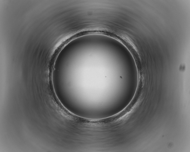 X0000091070781200708061301