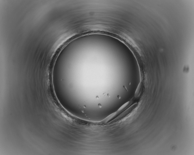 X0000091070782200708061301