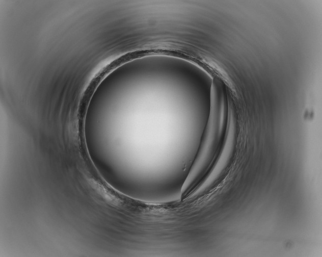 X0000091070784200708061301