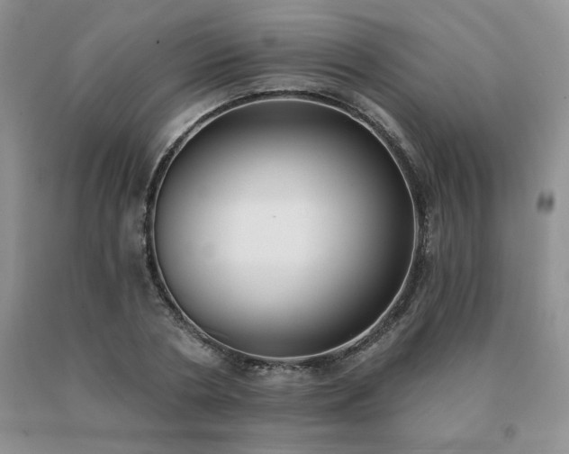 X0000091070786200708061301