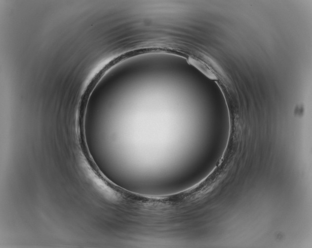 X0000091070788200708061301