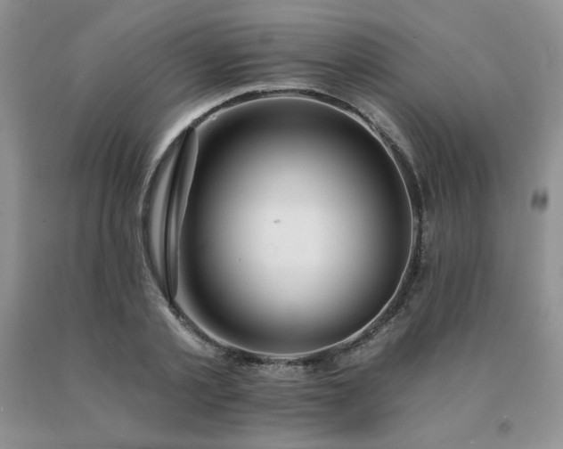 X0000091070789200708061301