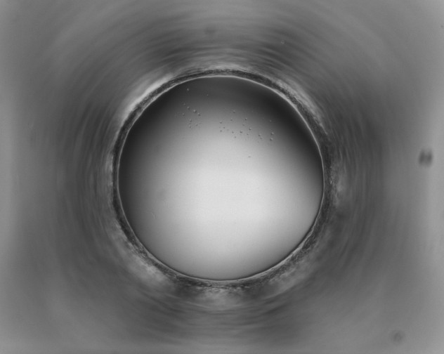 X0000091070790200708061301