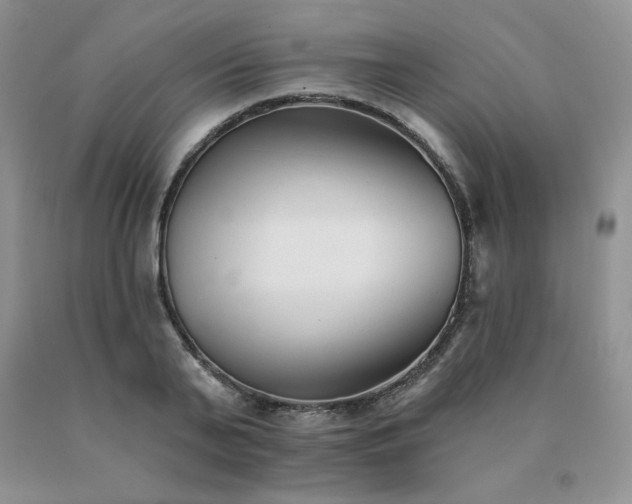 X0000091070791200708061301