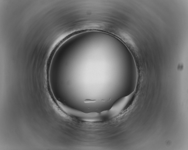 X0000091070792200708061301