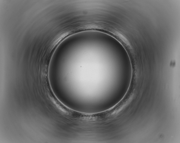 X0000091070793200708061301