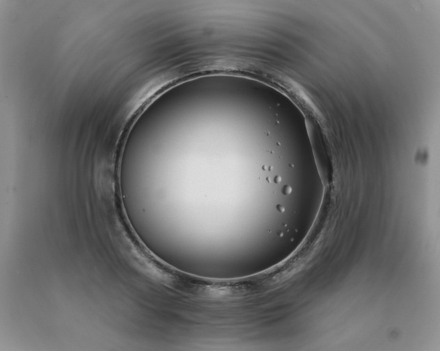 X0000091070794200708061301