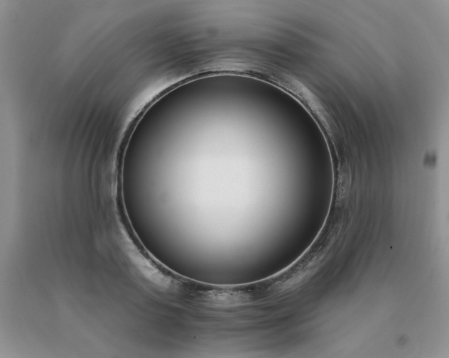 X0000091070795200708061301