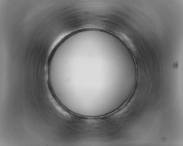 X0000091070796200708061301