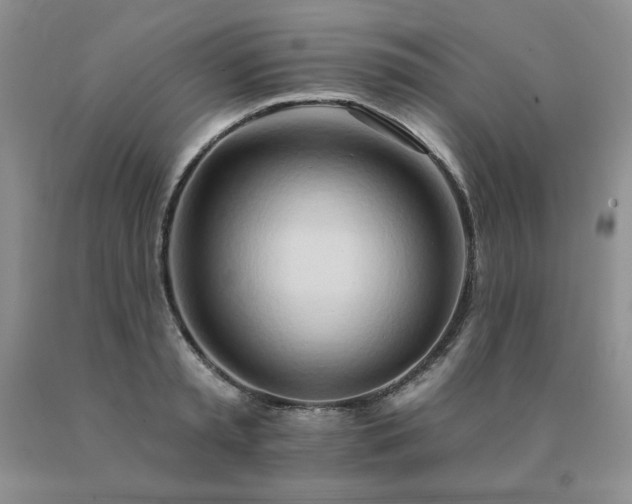 X0000091070797200708061301