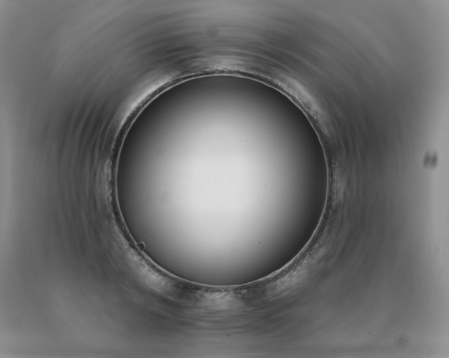 X0000091070798200708061301