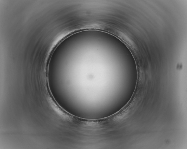 X0000091070800200708061301