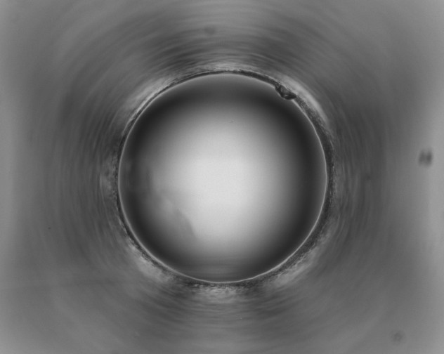 X0000091070801200708061301