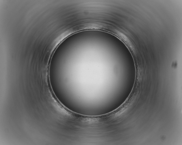 X0000091070802200708061301