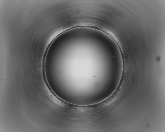 X0000091070803200708061301