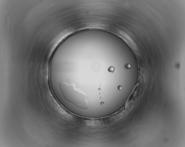 X0000091070804200708061300