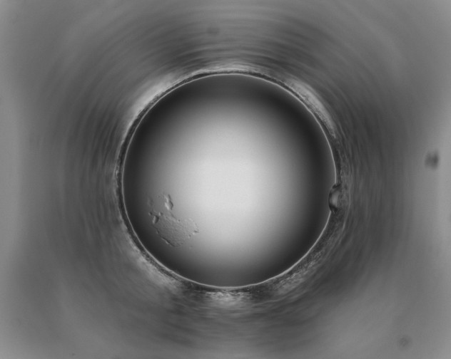 X0000091070805200708061300