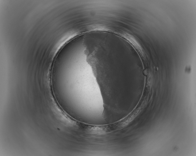 X0000091070806200708061300