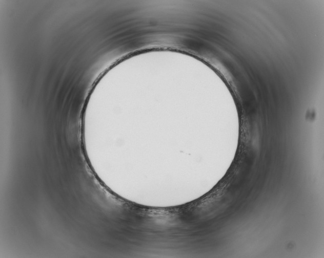 X0000091070807200708061300