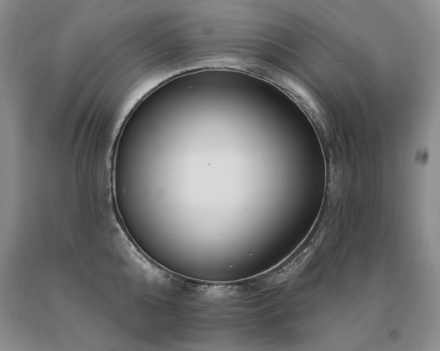 X0000091070808200708061300
