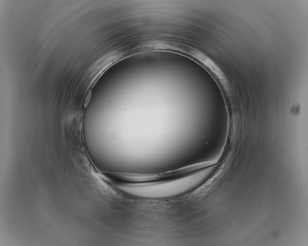 X0000091070809200708061300