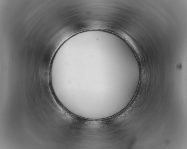 X0000091070810200708061300