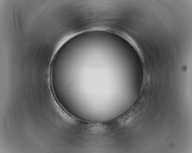 X0000091070811200708061300