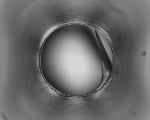 X0000091070812200708061300