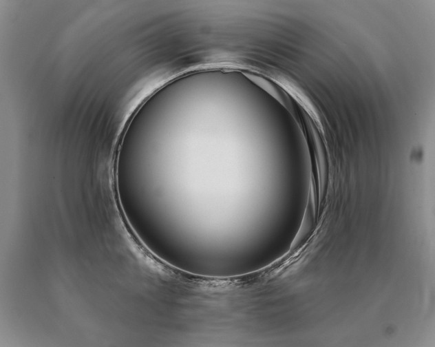 X0000091070813200708061300