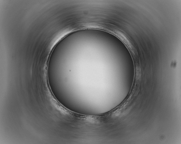 X0000091070814200708061300
