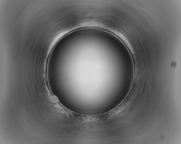 X0000091070815200708061300