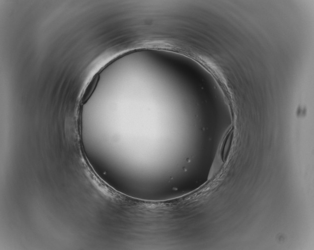X0000091070816200708061300