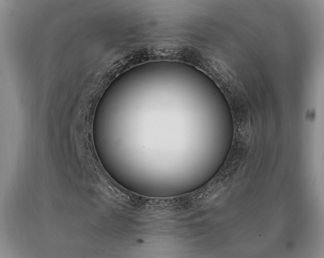 X0000091070817200708061300