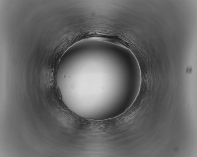 X0000091070818200708061300