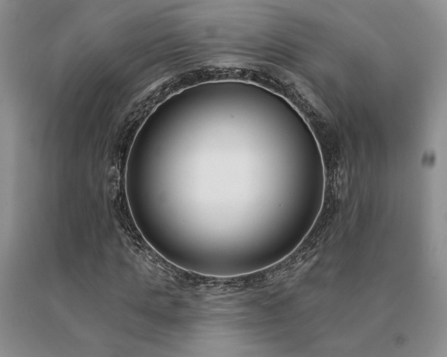 X0000091070821200708061300
