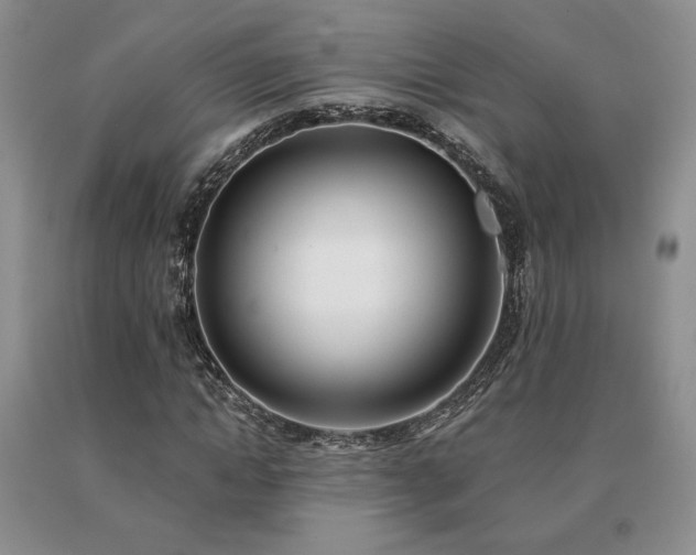 X0000091070822200708061300