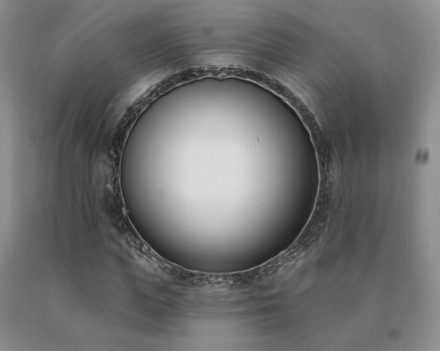X0000091070823200708061300