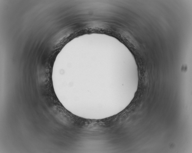 X0000091070824200708061300